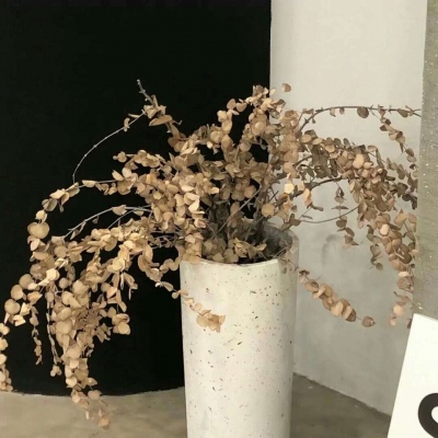 湾里福瑞交流群